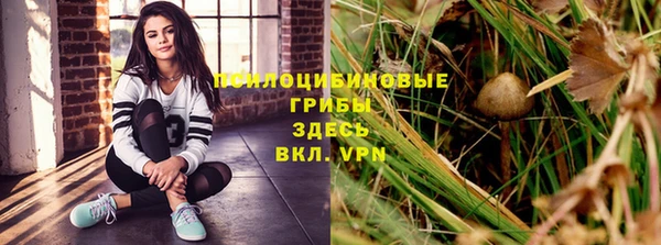 соль ск Абинск
