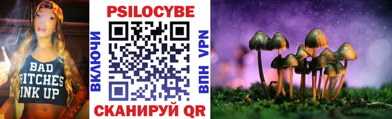 Галлюциногенные грибы Psilocybine cubensis  Юхнов 